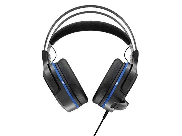 Wage Pro Gaming Headset